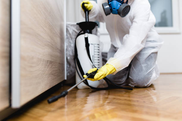 Best Insect Control  in Druid Hills, GA