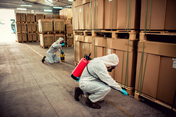 Best Flea Control Services  in Druid Hills, GA