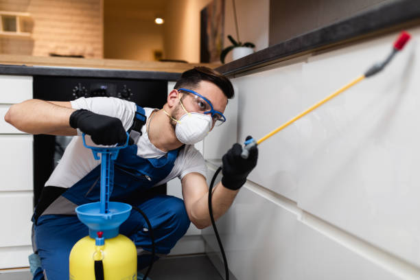 Best Affordable Pest Control Services  in Druid Hills, GA