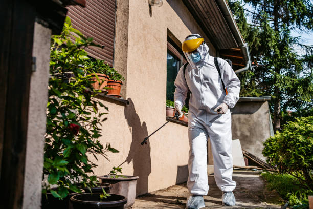 Best Affordable Pest Control Services  in Druid Hills, GA