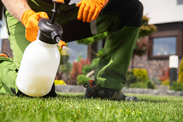 Best Pest Prevention Services  in Druid Hills, GA
