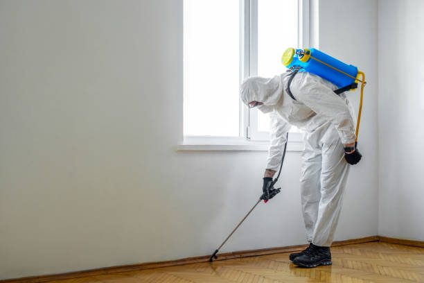 Best Pest Removal Services  in Druid Hills, GA