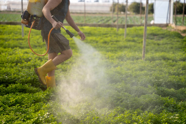 Best Local Pest Control Services  in Druid Hills, GA