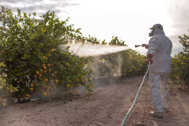 Best Ant Control Services  in Druid Hills, GA