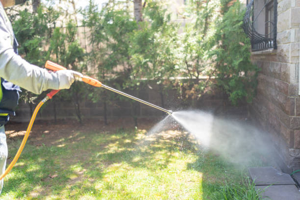 Bird Control in Druid Hills, GA