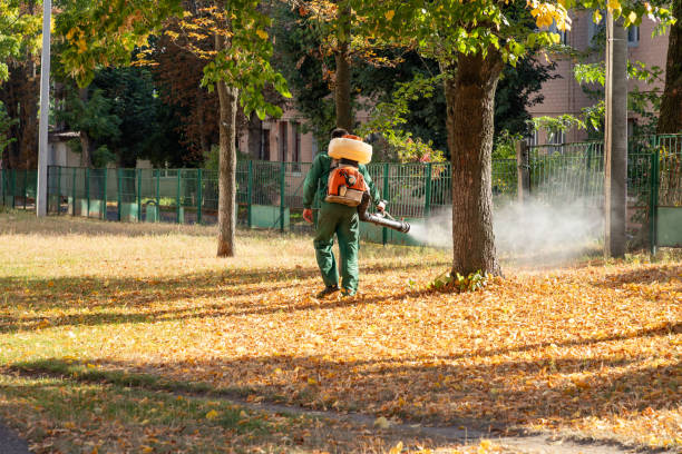 Best Mosquito Control Services  in Druid Hills, GA